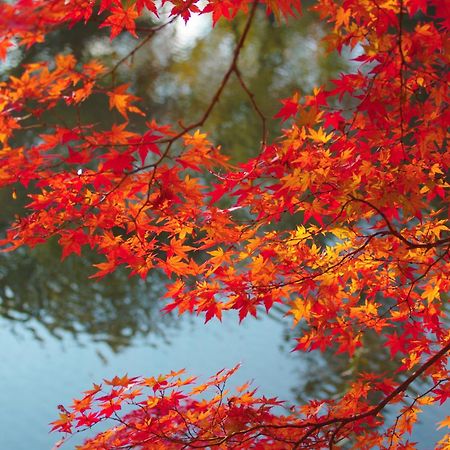Stay Sakura Kyoto Nijo Castle West I Dış mekan fotoğraf