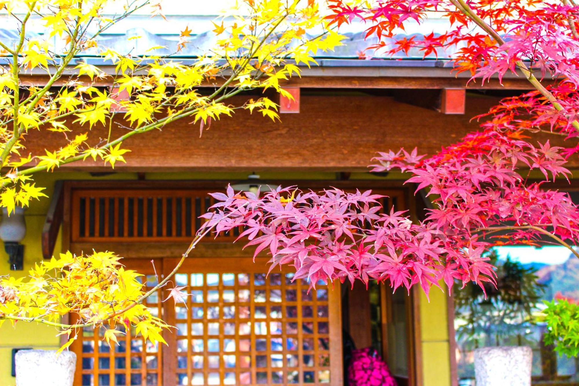 Stay Sakura Kyoto Nijo Castle West I Dış mekan fotoğraf
